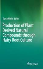 Production of Plant Derived Natural Compounds through Hairy Root Culture