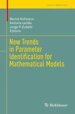 New Trends in Parameter Identification for Mathematical Models