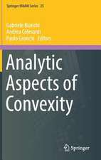 Analytic Aspects of Convexity