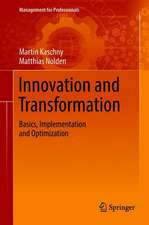 Innovation and Transformation: Basics, Implementation and Optimization