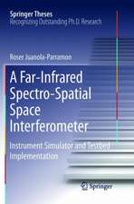 A Far-Infrared Spectro-Spatial Space Interferometer: Instrument Simulator and Testbed Implementation