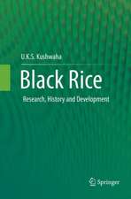 Black Rice: Research, History and Development