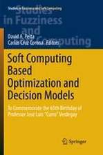 Soft Computing Based Optimization and Decision Models