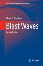 Blast Waves