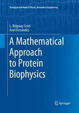 A Mathematical Approach to Protein Biophysics