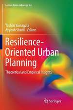 Resilience-Oriented Urban Planning: Theoretical and Empirical Insights