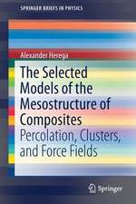 The Selected Models of the Mesostructure of Composites: Percolation, Clusters, and Force Fields