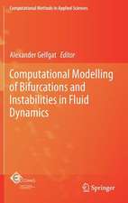 Computational Modelling of Bifurcations and Instabilities in Fluid Dynamics