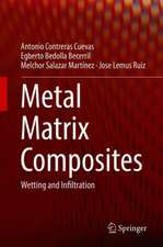 Metal Matrix Composites: Wetting and Infiltration