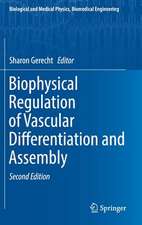 Biophysical Regulation of Vascular Differentiation and Assembly