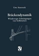 Brückendynamik: Winderregte Schwingungen von Seilbrücken