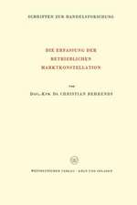 Die Erfassung der Betrieblichen Marktkonstellation