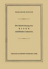 Die Entflechtung der Eisen schaffenden Industrie: Eine betriebswirtschaftliche Studie