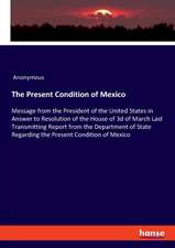 The Present Condition of Mexico