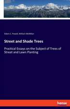 Street and Shade Trees