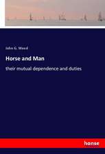 Horse and Man