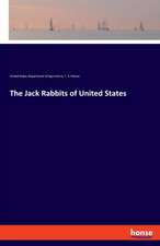 The Jack Rabbits of United States