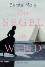 Gegen den Wind des Widerstands