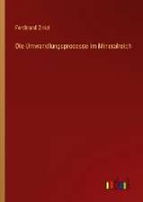 Die Umwandlungsprocesse im Mineralreich