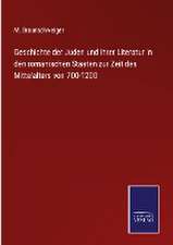 Geschichte der Juden und ihrer Literatur in den romanischen Staaten zur Zeit des Mittelalters von 700-1200