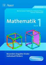 Begabte Kinder individuell fördern, Mathe Band 1