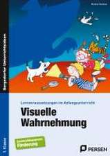 Visuelle Wahrnehmung