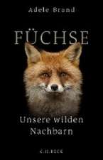 Füchse