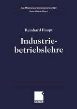 Industriebetriebslehre: Einführung Management im Lebenszyklus industrieller Geschäftsfelder