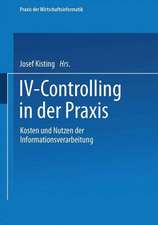 IV-Controlling in der Praxis: Kosten und Nutzen der Informationsverarbeitung