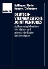 Deutsch-vietnamesische Joint Ventures: Aufbaumöglichkeiten für klein- und mittelständische Unternehmen