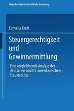 Steuergerechtigkeit und Gewinnermittlung: Eine vergleichende Analyse des deutschen und US-amerikanischen Steuerrechts