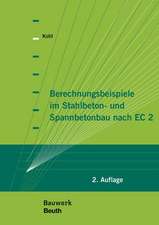 Berechnungsbeispiele im Stahlbeton- und Spannbetonbau nach EC 2