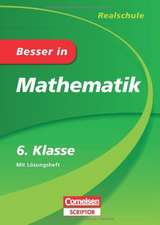 Besser in Mathematik - Realschule 6. Klasse