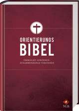 Die Orientierungsbibel