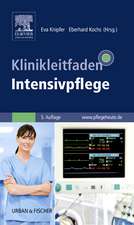 Klinikleitfaden Intensivpflege