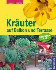 Kräuter auf Balkon und Terrasse