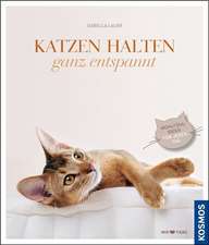 Katzen halten ganz entspannt