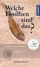 Welche Fossilien sind das?