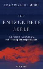 Die entzündete Seele