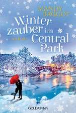 Winterzauber im Central Park