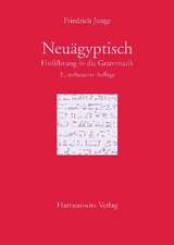 Einfuhrung in Die Grammatik Des Neuagyptischen: A Treatise on the Concept of Love in Classical and Medieval Arabic Heritage