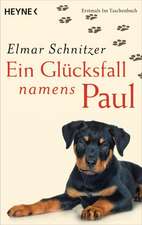 Schnitzer, E: Glücksfall namens Paul