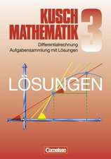 Mathematik. Lösungsbuch zu Teil 3: Differentialrechnung