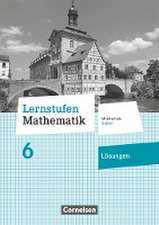 Lernstufen Mathematik 6. Jahrgangsstufe - Mittelschule Bayern - Lösungen zum Schülerbuch