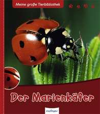 Der Marienkäfer