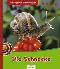 Die Schnecke