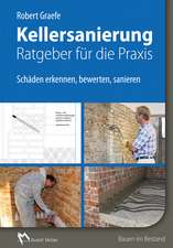 Kellersanierung - Ratgeber für die Praxis