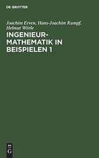 Ingenieur-Mathematik in Beispielen 1