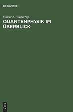 Quantenphysik im Überblick: Ein Buch zum schnellen Einstieg in die verschiedenen Arbeitsmethoden der Quantenphysik. Mit MATLAB-Programmplots