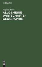 Allgemeine Wirtschaftsgeographie: Eine systemtheoretisch orientierte Einführung